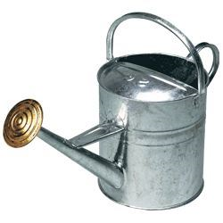 2 Gallon Galvanized Watering Can CJ0760