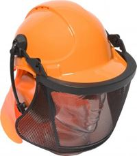 Combination Forestry Helmet Kit HP9923