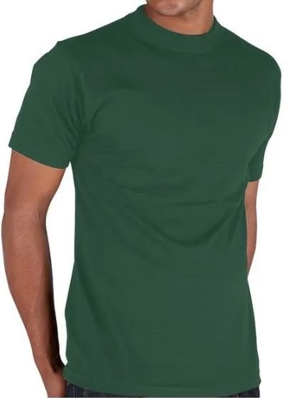 Premium T-Shirt 100% Cotton 200gsm (Ranks) SH5809